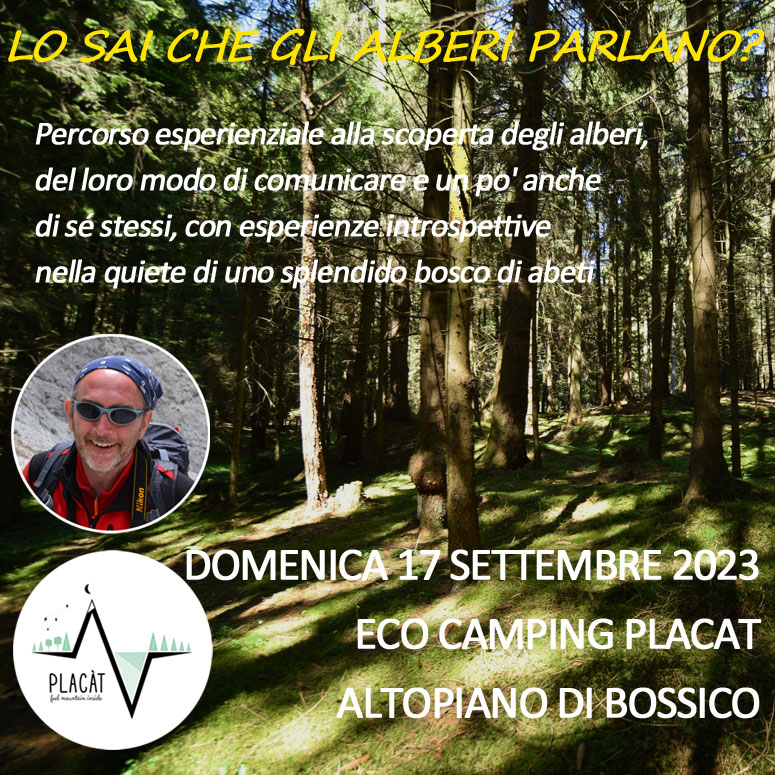 3-copquad-alberi-parlano