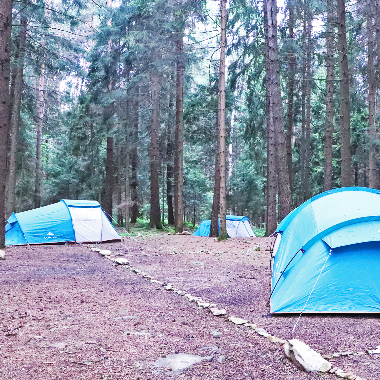 camp