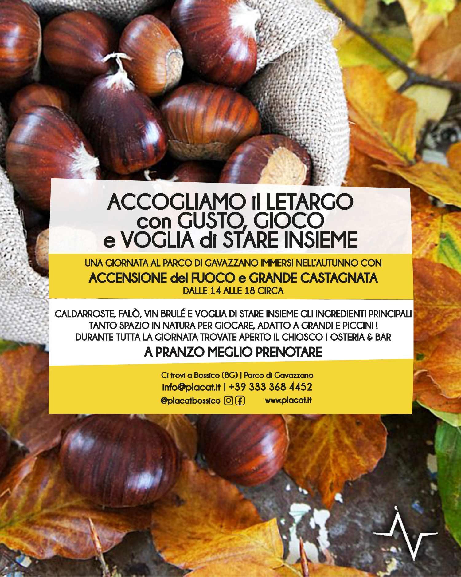 10_25_castagnata_B